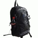 Backpack - Image 2