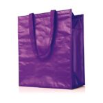 Cooler Bags