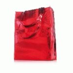 Non Woven Shopping Bags - Image 18
