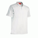 Greberry Dnc Polos - Image 4