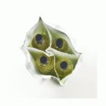 Wine Bag - Image 7